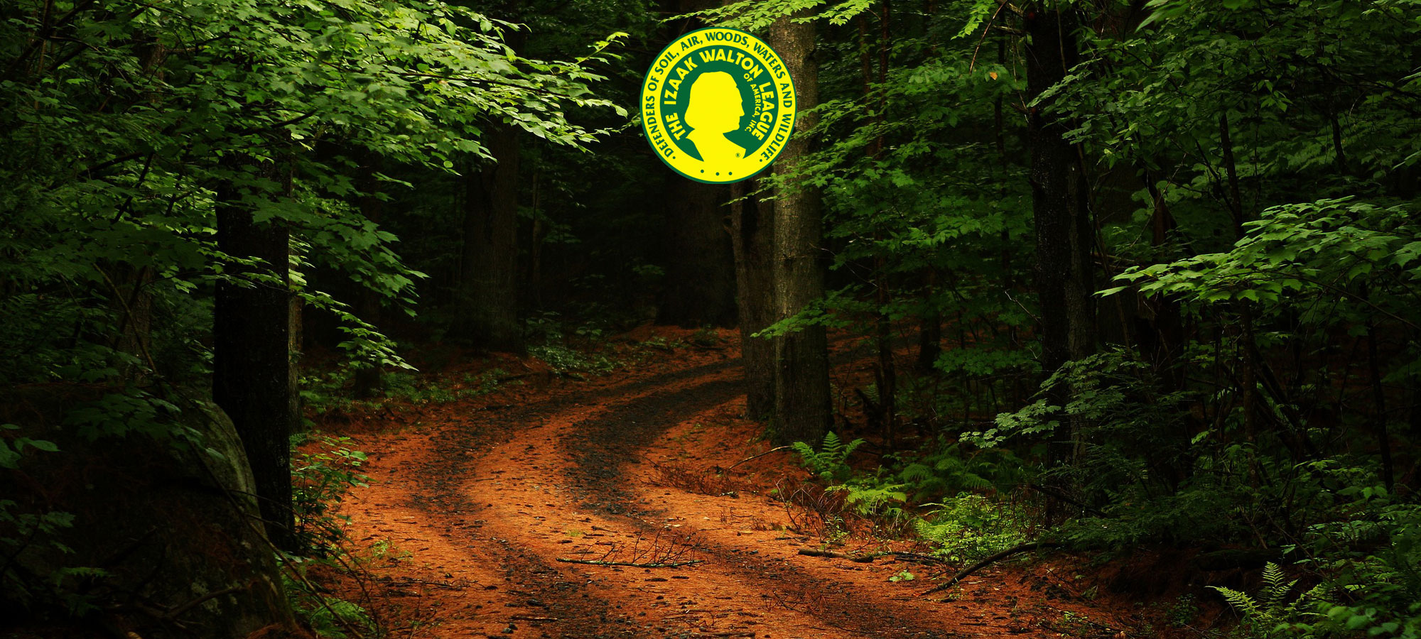 understanding of nature